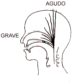 aula de canto