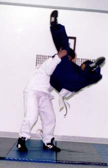 Diagonal Flying