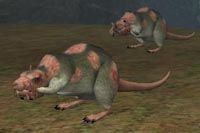 a zombie rat