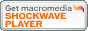 scarica shockwave player