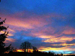 dawn