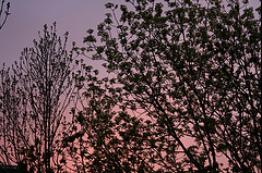 an evening