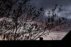 an evening