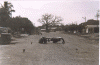 avenida san jose 1990.gif (256068 bytes)