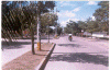 avenida san jose.gif (378236 bytes)