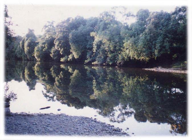 A river in Magdiwang.