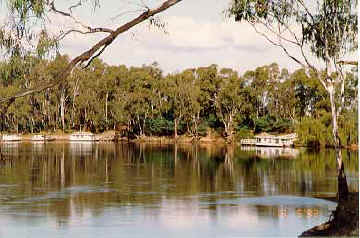 murray93.JPG (28629 bytes)