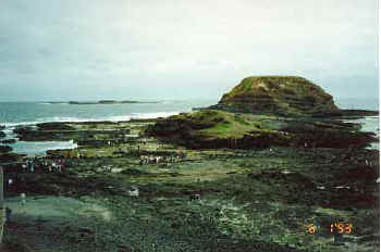 sealrocks.JPG (18203 bytes)