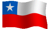 Chilean Flag/Bandera Chilena