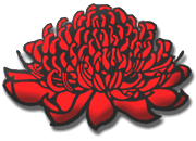 Waratah