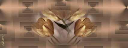 Andrew's Tulips Background