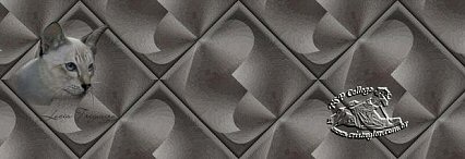 Case Background