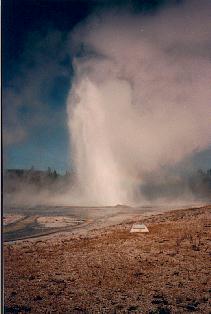 Daisy Geyser