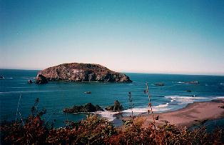 Harris Beach State Park