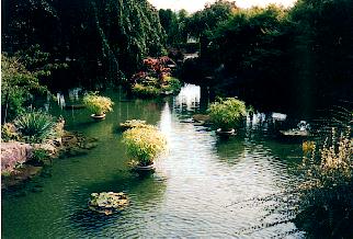 Japanese garden in Queen Victoria Park