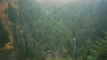 Mt Rainier Falls