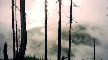 Mt St Helens shrouded in mist