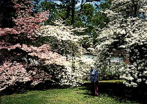 Nanny in her yard in spring