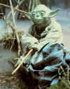 You may ask, why do I have a picture of Yoda up here?  I'm not really sure, but Anne sent me this picture and Yoda is cool and my younger sister calls him Yoga, so I figured, why not.