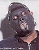 Paul Gray