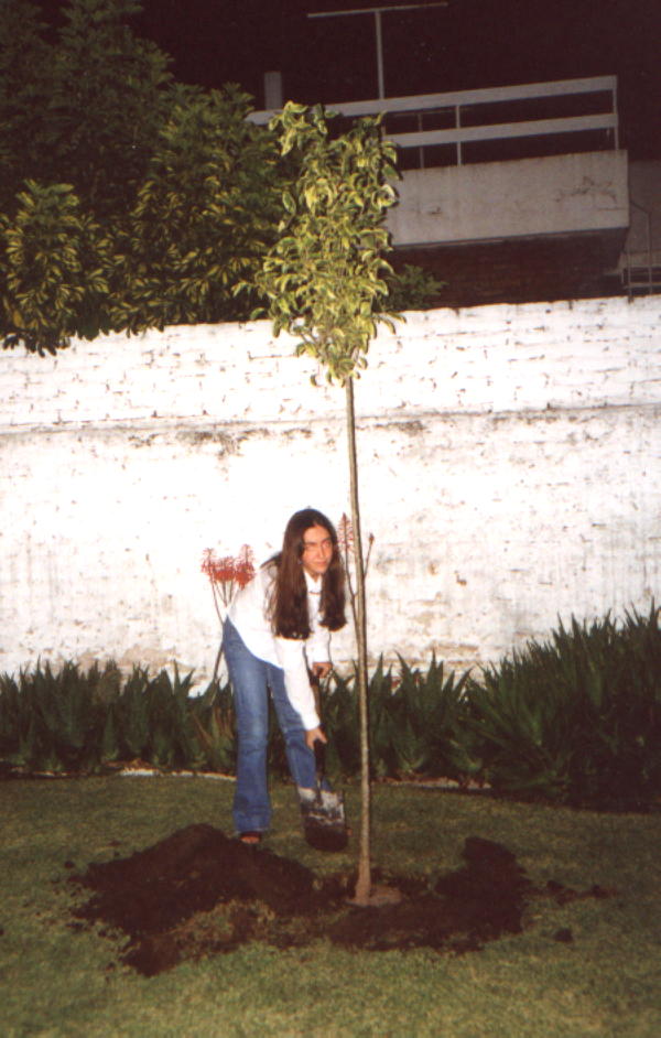 My friend Maude had the great idea of planting a tree on George Harrison's 58th b-day... so this is our little tribute! With love, from Mel & Maude.