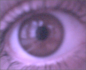 I see you...