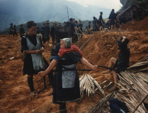 Hmong at work near Sapa