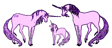 unicorn family