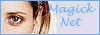 Part of Magick Net