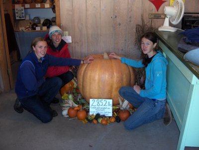 285 pound pumpkin