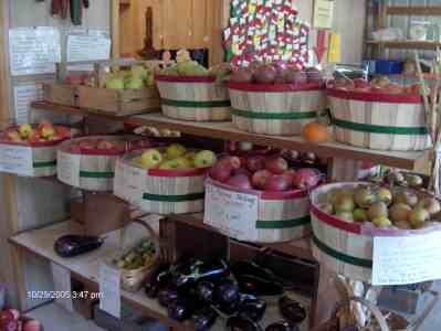 apples