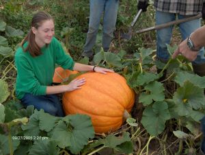 big pumpkin