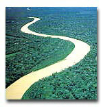 The Amazon