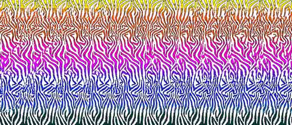 lines