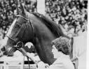 Shergar Says ' Its cold in here....brrrrrrrrrrrr'