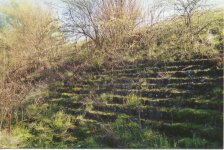 The Barbed Wire Steps