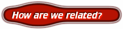 Discover our relationship!