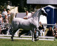 ga-kulak1.jpg (62683 tavu(a))