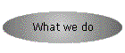 What we do
