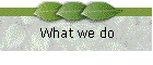 What we do
