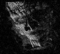 A Magog