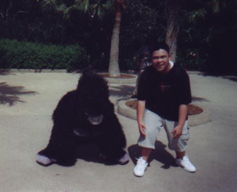 Look!&nbsp; It's a big gorilla!&nbsp; And a man in a costume!