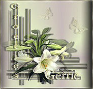 Fower Tag