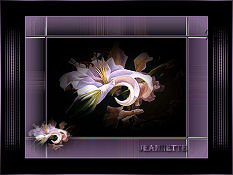 Lily