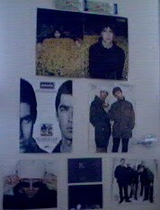 My Oasis Door