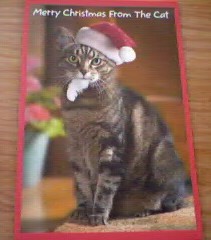 From Jackie and Tom. It's a very cute cat card, looks kinda funny!
