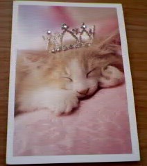 I think thats the cutest card you could ever buy. Thanks Karen (for my birthday)
