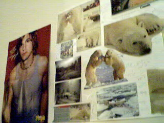 Wheee!There is no more space for people to sign on my polar bear poster!!HOttie Ashton Kutcher is drooling over me, by the way!