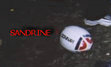 Sandrine the rugby ball