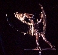 Icuris Landing